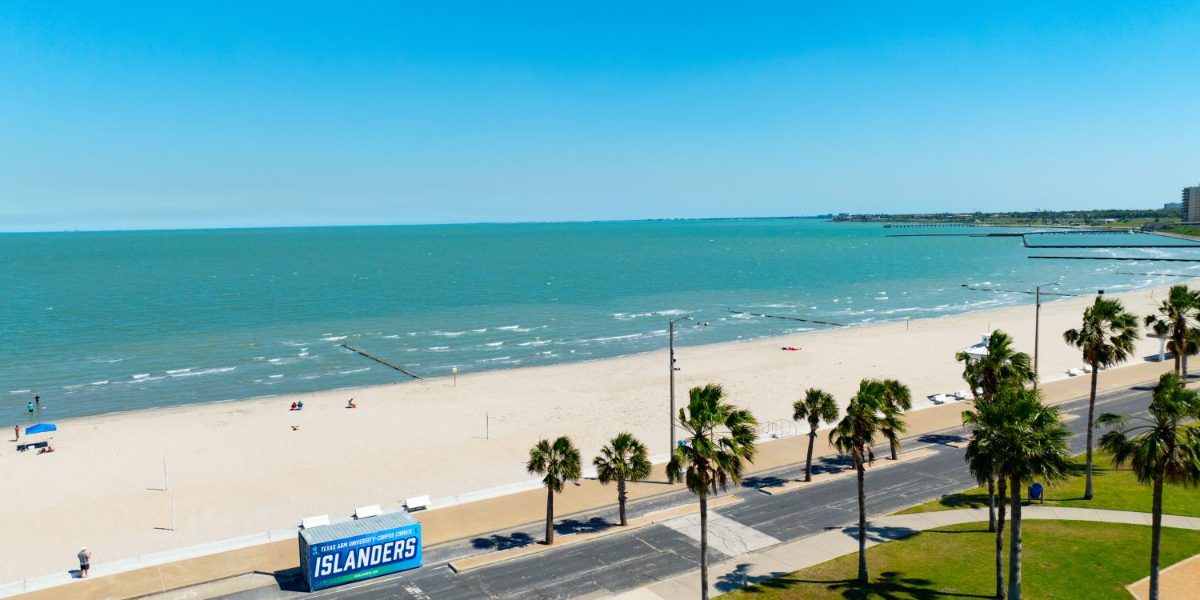 The Corpus Christi bayfront beach and seawall on the Texas Gulf Coast, about an hour from Beeville