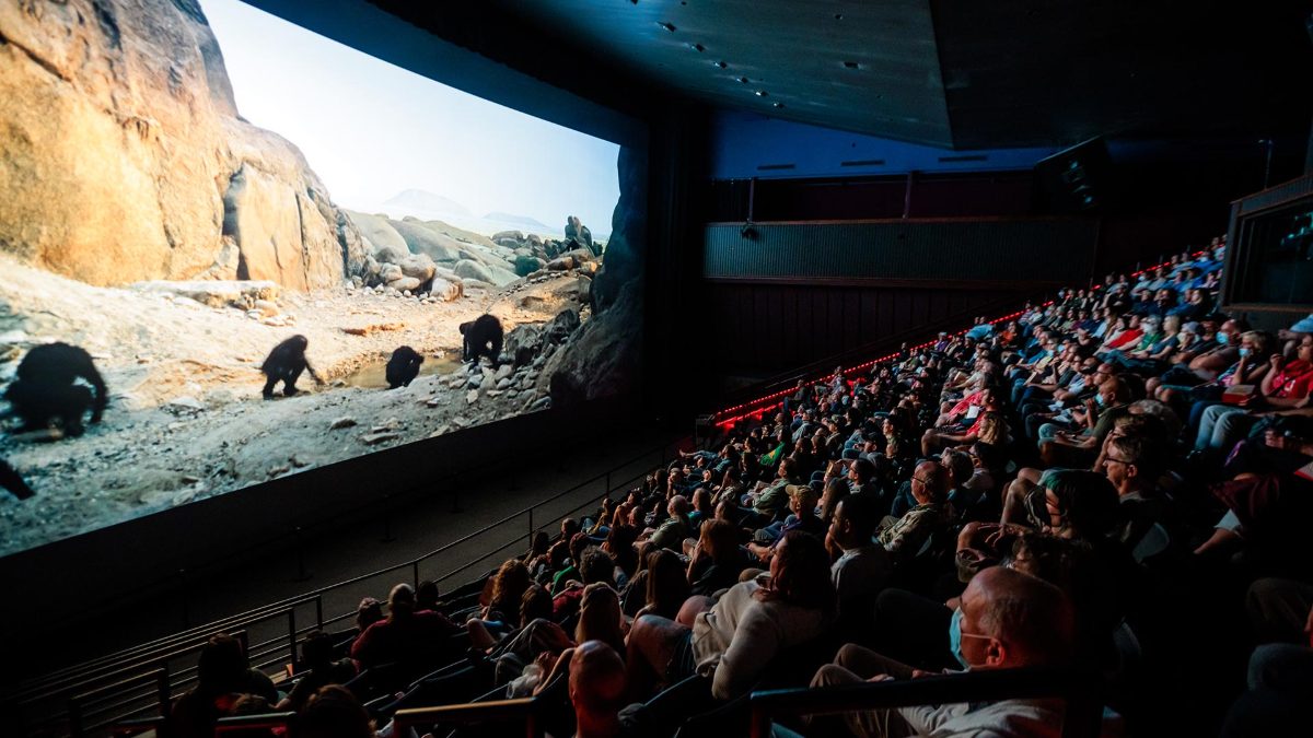 An audience watching a film on a large cinema screen