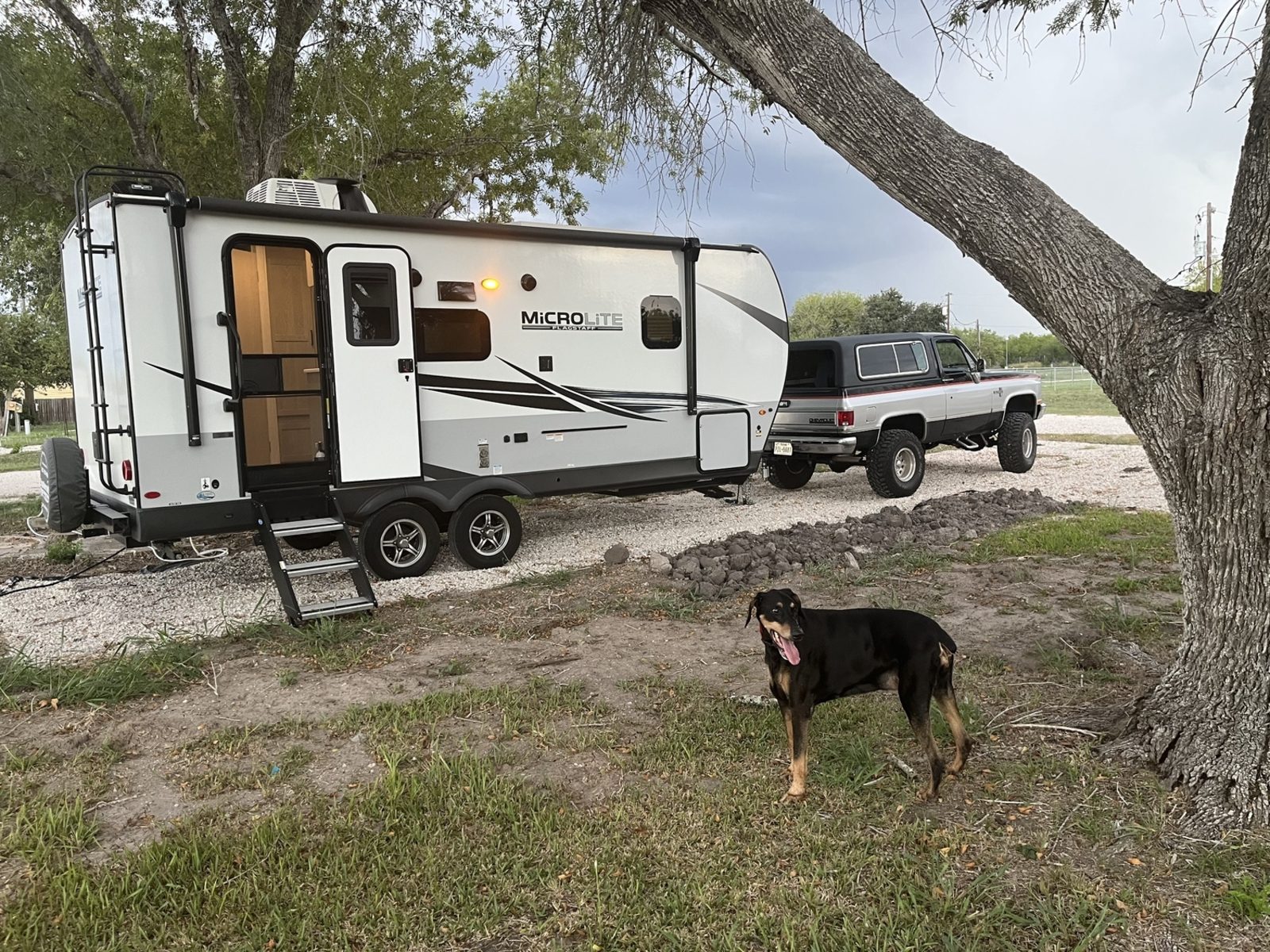 Travel trailer and pickup parked on a gravel RV site under a large shade tree, with a dog standing in the grass, at The Texas Rose RV Park in Beeville, TX