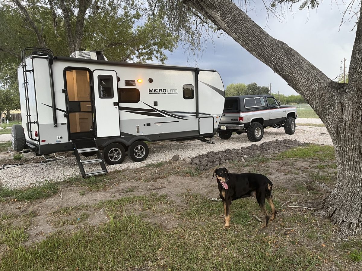 Travel trailer and pickup parked on a gravel RV site under a large shade tree, with a dog standing in the grass, at The Texas Rose RV Park in Beeville, TX