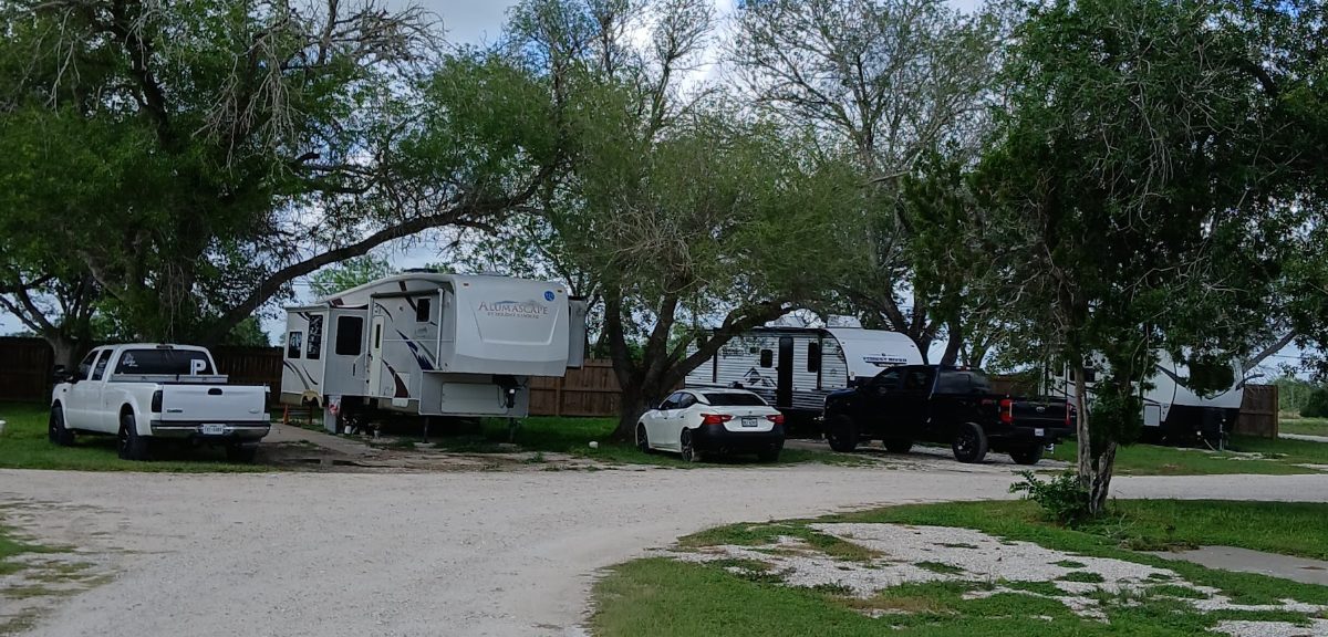 Fifth-wheels and travel trailers parked along a gravel park road under shade trees at The Texas Rose RV Park in Beeville, TX