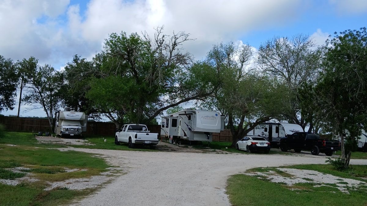 RV sites and gravel roads shaded by mature oaks at The Texas Rose RV Park in Beeville, TX