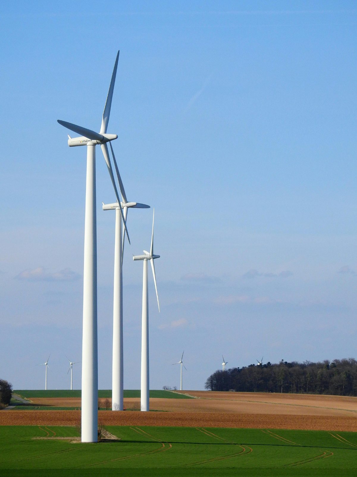 Wind turbines standing over open farmland